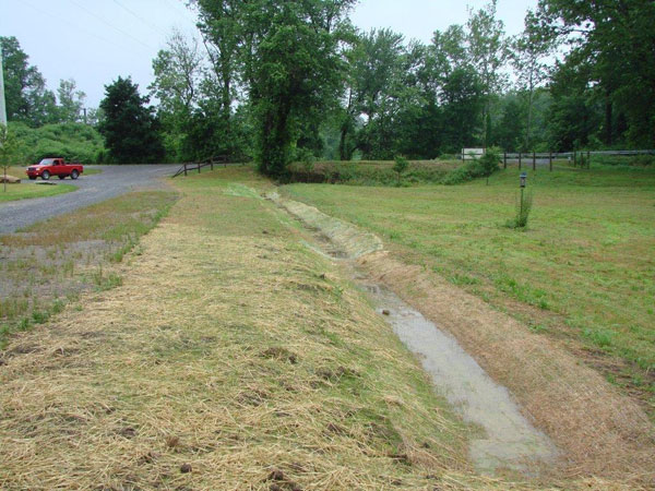 Muncy Heritage Park and Nature Trail Vegetated Swale